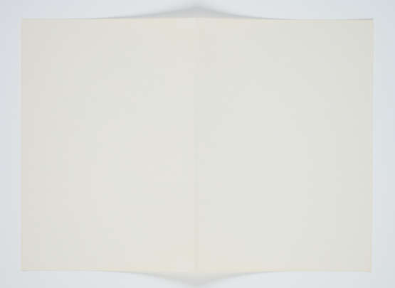 Joseph Beuys. Zeichnungen zu Leonardo Codices Madrid - Foto 1
