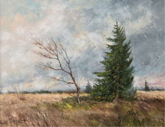 Brandt, Lucien (Belgischer Maler um 1950) "Weite Landschaft", Öl/ Lw., sign. u.l., 24x30 cm, Rahmen - photo 1