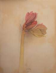 Bruni, Bruno (geb. 1935 in Gradara/Italien-lebt in Hannover) &quot;Amaryllis&quot;, Farblitho., 8/ 200, handsign., 71x53,5 cm, ungerahmt