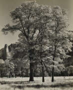 Peinture de paysage. ANSEL ADAMS (1902–1984)