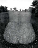 HARRY CALLAHAN (1912–1999)