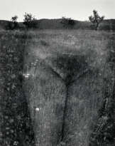 HARRY CALLAHAN (1912–1999)