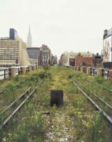 JOEL STERNFELD (B. 1944)