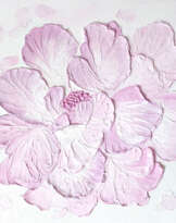 Peony Peony