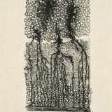 Max Ernst. Ohne Titel - Foto 1