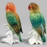 Paar Papageien auf Stamm - фото 1