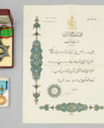 Aperçu. Orden mit Anstecknadel, eine Urkunde und eine Medaille