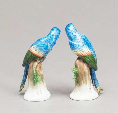 Porcelain couple Parrots. Sitzendorf. - Foto 3