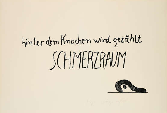Joseph Beuys. Schmerzraum - photo 1
