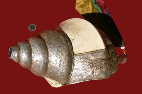 Rare Conque Tibétaine Imposante COQUILLAGE Тибет XXème г. - фото 3
