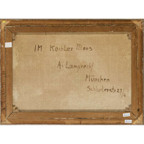 Anton Lamprecht. In the Kochler Moos - фото 3