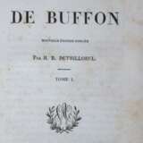 Buffon,G.L.L.de. - photo 1