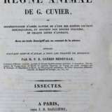 Cuvier,G. - photo 1