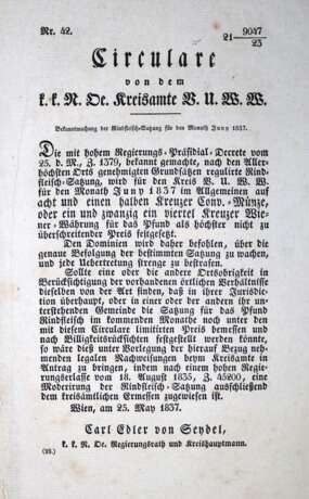 Sammlung - Foto 1