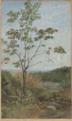 Lier, Adolf Heinrich