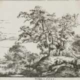 Ruisdael, Jacob Isaackszoon - фото 1