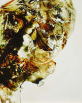 Daria Kudinova. Untitled