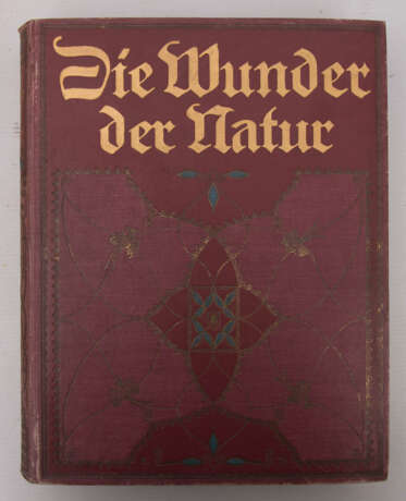 DIE WUNDER DER NATUR, Bnd. 1-3, Deutschland 1912. - Foto 2