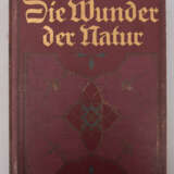 DIE WUNDER DER NATUR, Bnd. 1-3, Deutschland 1912. - photo 2