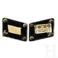 A Pair of Collar Tabs for SS Obergruppenführer