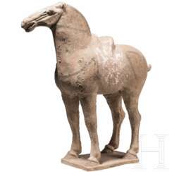 Tang-Pferd, China, Tang-Dynastie, 618 - 907