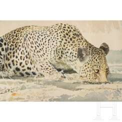 Leigh Voight, "Leopard drinking", Südafrika, datiert 1997