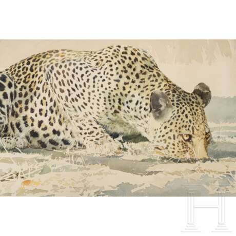 Leigh Voight, "Leopard drinking", Südafrika, datiert 1997 - photo 1