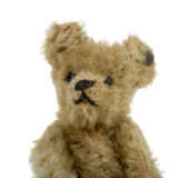 STEIFF Teddybär wohl 5310, 1936-1943, - фото 4
