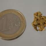 Gold-Nugget - photo 1