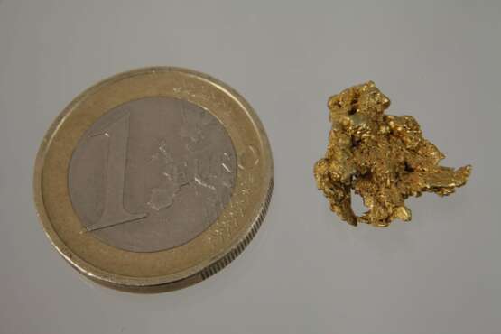 Gold-Nugget - фото 1