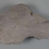 Meteorit Gibeon - фото 3