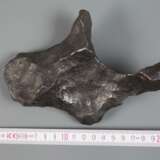 Meteorit Gibeon - photo 2