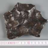 Meteorit Gibeon - photo 2