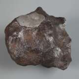 Meteorit Gibeon - photo 3