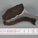 Meteorit Gibeon - photo 2