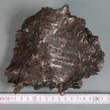 Meteorit Shikote-Alin - photo 2