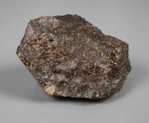 Steinmeteorit NWA 1499/Sahara