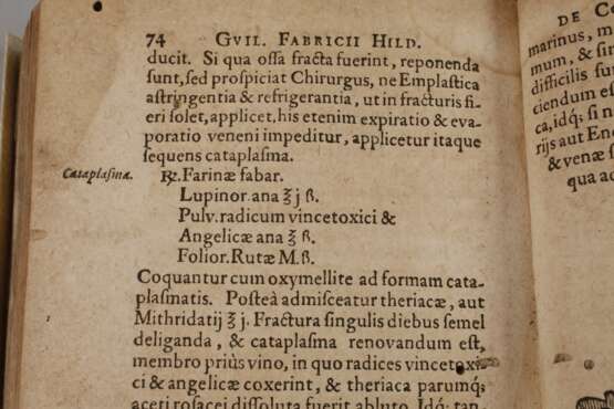 Zwei Erstausgaben Wilhelm Fabry 1606 - Foto 6