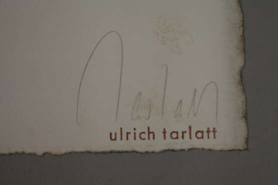 Ulrich Tarlatt, hortus animae - photo 4