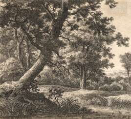 Anthonie Waterloo, Der schräg wachsende Baum