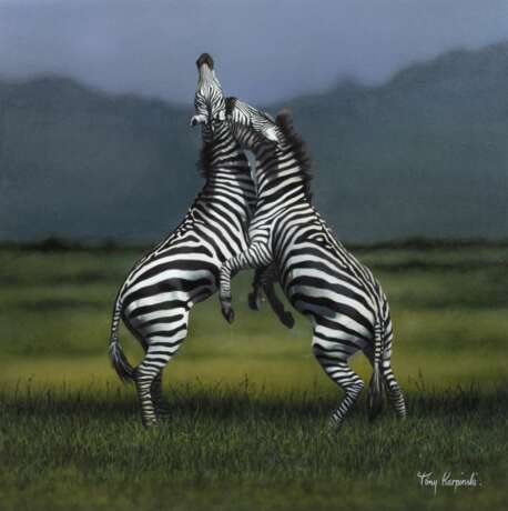 Tony Karpinski, Kämpfende Zebras - фото 1