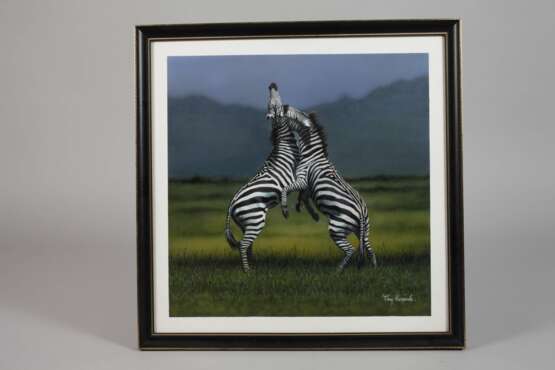 Tony Karpinski, Kämpfende Zebras - Foto 2