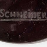 Schneider - photo 2