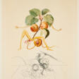 Salvador Dalí. Abricot chevalier (From: Flordali / Les Fruits) - Auction Items