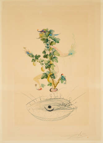 Salvador Dalí. Révérence du groseillier (From: Flordali / Les Fruits) - фото 1