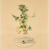 Salvador Dalí. Révérence du groseillier (Aus: Flordali / Les Fruits) - Foto 1