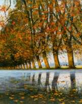 Uwe Herbst (Köln 1952). Canal du Midi.