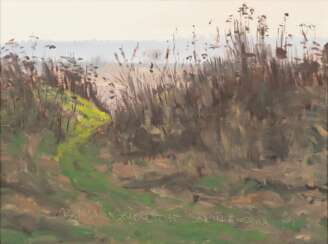 Friedel Anderson (Oberhausen 1954). Landscape.
