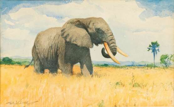Wilhelm Kuhnert (Oppeln 1865 - Flims/CH 1926). Elephant. - photo 1