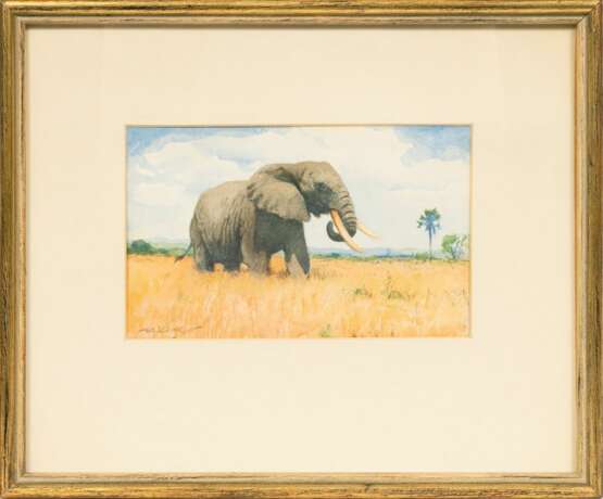 Wilhelm Kuhnert (Oppeln 1865 - Flims/CH 1926). Elefant. - Foto 2
